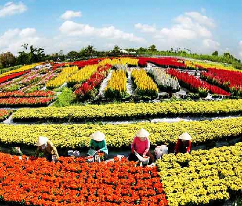  Chương trình du lịch Tham Quan Miền Tây